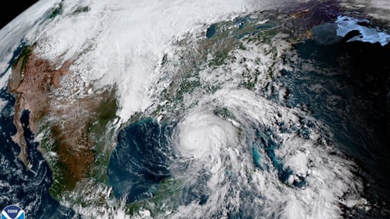 Bão Michael mạnh lên cấp 4, chuẩn bị đổ bộ vào Florida ảnh 4