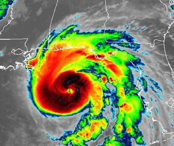 Bão Michael mạnh lên cấp 4, chuẩn bị đổ bộ vào Florida ảnh 3