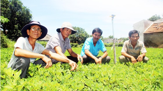 Đãi “vàng” trên cát bạc ảnh 4