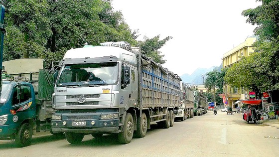 Nóng bỏng buôn lậu cuối năm - Bài 1: Muôn nẻo hàng lậu ảnh 2