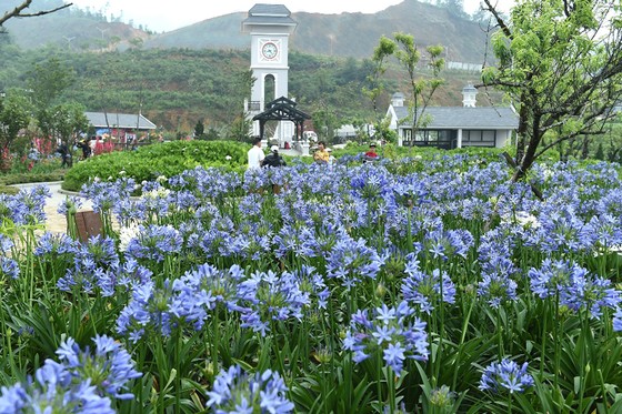 Sun World - hướng đi khác cho du lịch Việt ảnh 4