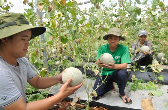Tuân thủ tiêu chuẩn chất lượng hàng hóa ảnh 1