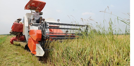 Định vị sản phẩm nông nghiệp ảnh 1