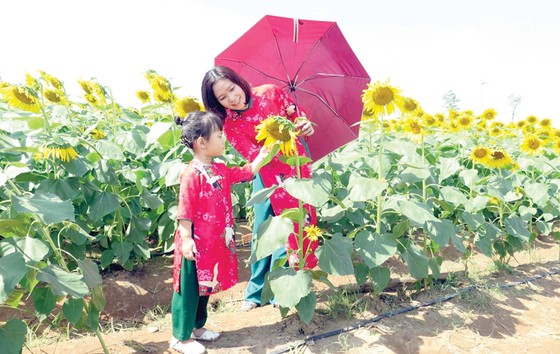 Hoạt động giải trí nhộn nhịp ngày đầu năm ảnh 1