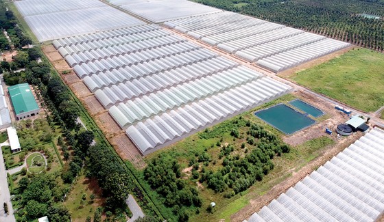 Người dân được tham gia, chia sẻ thành quả phát triển dọc bờ sông Sài Gòn ảnh 1