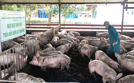 Phong phú sản phẩm bình ổn ảnh 4