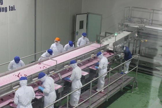 Tăng đầu tư vào công nghiệp chế biến thực phẩm ảnh 1