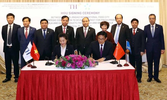 Thúc đẩy kết nối và hợp tác kinh tế khu vực ảnh 1