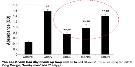 Giá trị dinh dưỡng của yến đảo thiên nhiên ảnh 2