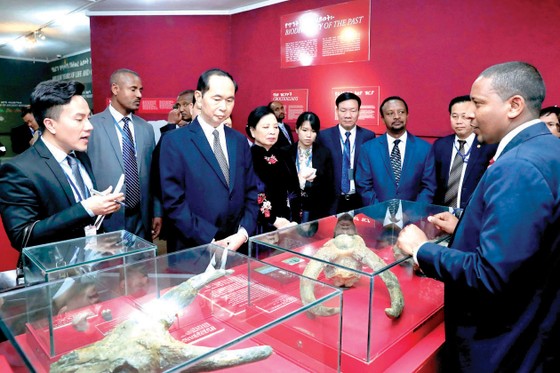 Nhiều tiềm năng hợp tác giữa Ethiopia và Việt Nam ảnh 1