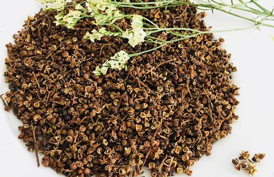 Mang văn hóa ẩm thực Tây Bắc vào bữa cơm gia đình ảnh 1