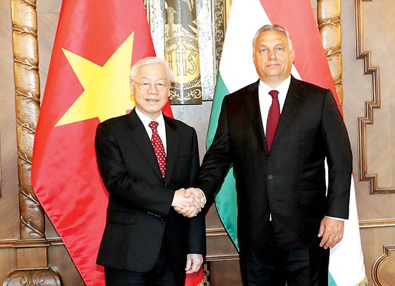 Nâng quan hệ Việt Nam - Hungary lên mức Đối tác toàn diện ảnh 1