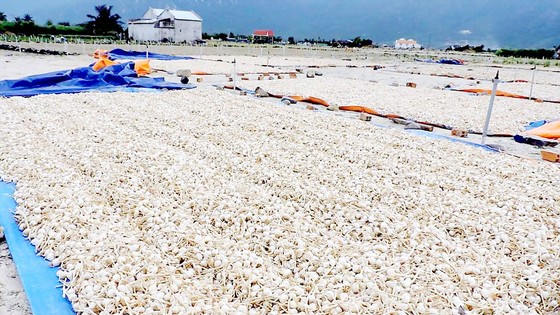 Nước mắt tỏi Khánh Hòa ảnh 1
