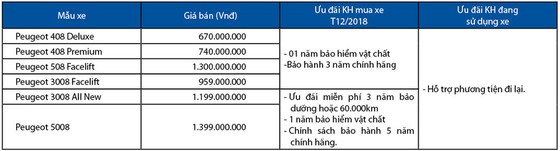 Peugeot đẩy mạnh ưu đãi, dịch vụ chăm sóc khách hàng trong dịp cuối năm ảnh 2