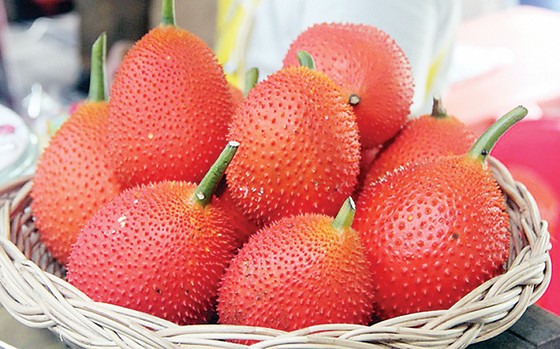Ma lực “trẻ mãi không già” ảnh 2