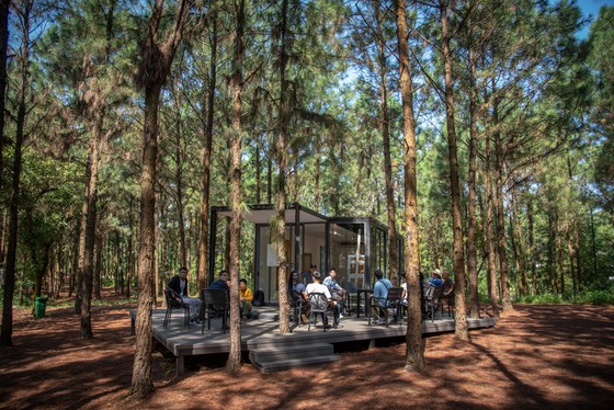 Art In The Forest 2018: Khu rừng nghệ thuật độc đáo nằm giữa thiên nhiên xanh cổ tích ảnh 2