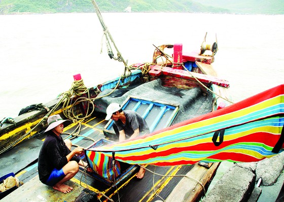 Chạy đua với tết ảnh 4