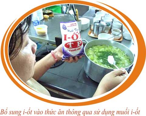 Việt Nam nằm trong số 19 nước trên thế giới có tình trạng thiếu i-ốt tồi tệ nhất ảnh 1