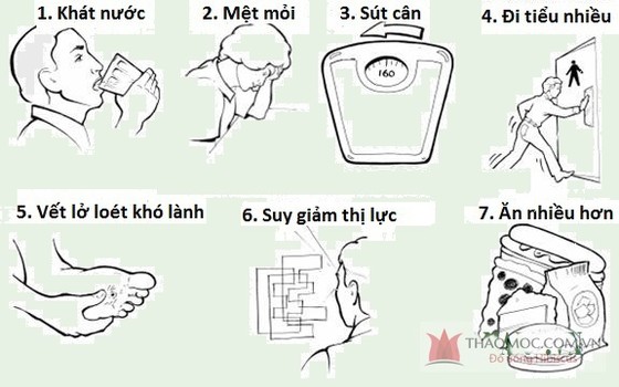 Phòng bệnh tiểu đường ảnh 2