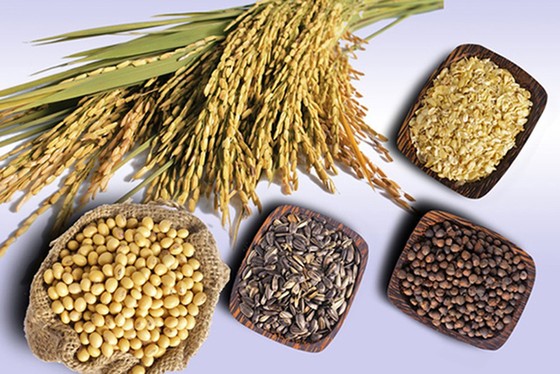 Dinh dưỡng cho người rối loạn chuyển hóa lipid máu ảnh 1