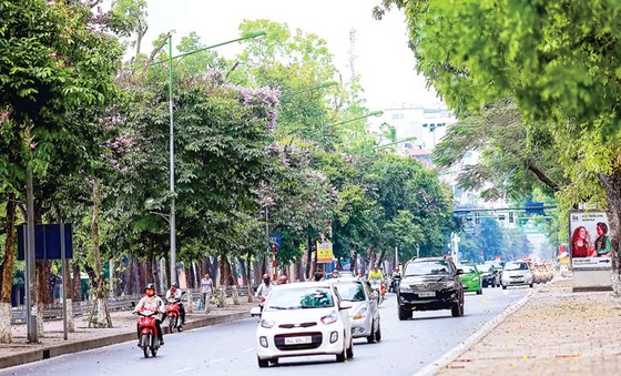 Sắc tím bằng lăng ảnh 2
