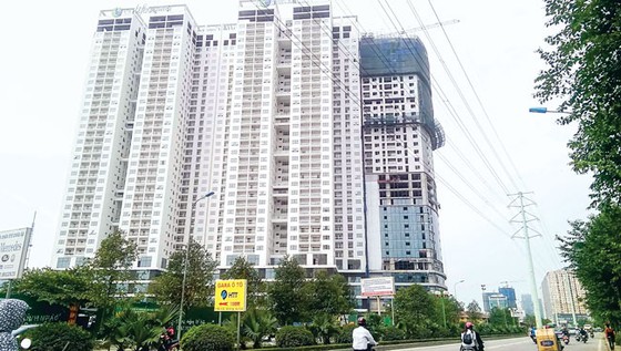 Chung cư xanh chưa chính danh ảnh 1