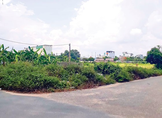 Mất tiền vì mua đất nền trên giấy ảnh 1