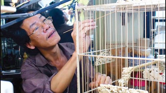 Lồng chim xứ Huế ảnh 1
