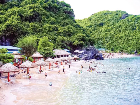 Đắm mình vào thiên nhiên Cát Bà ảnh 1