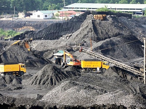 Những mã bất động với thời cuộc ảnh 1