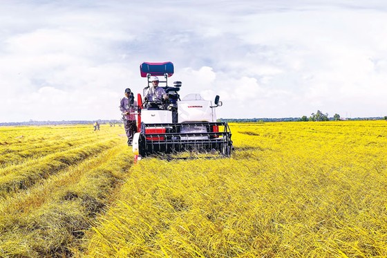 Nông dân Việt tiếp cận công nghệ Nhật ảnh 2