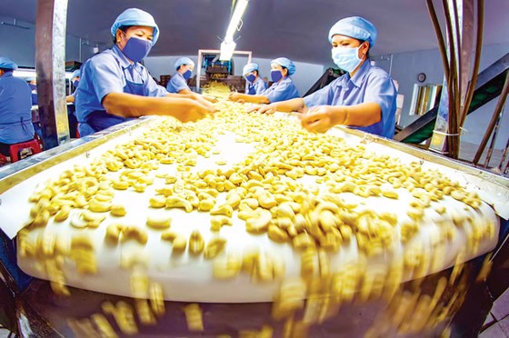 Rủi ro phụ thuộc nguyên liệu nhập khẩu ảnh 1