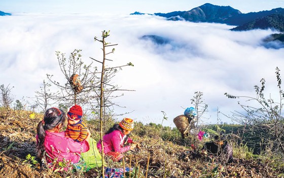 Nhịp sống giữa mây trời ảnh 4