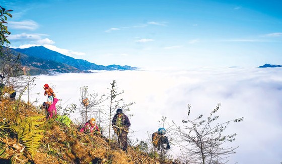 Nhịp sống giữa mây trời ảnh 5