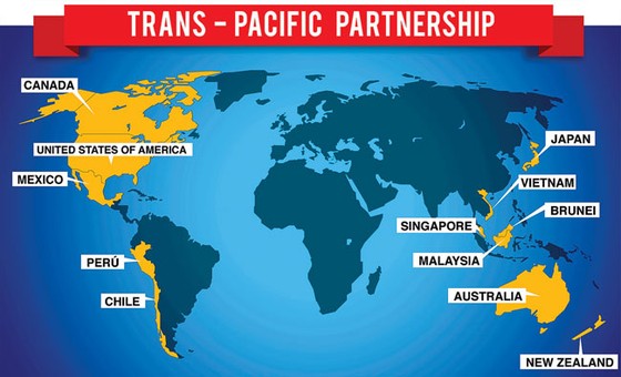 Các nước nỗ lực vì TPP ảnh 1