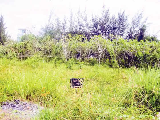 Rủi ro “ôm đất” vùng ven ảnh 1