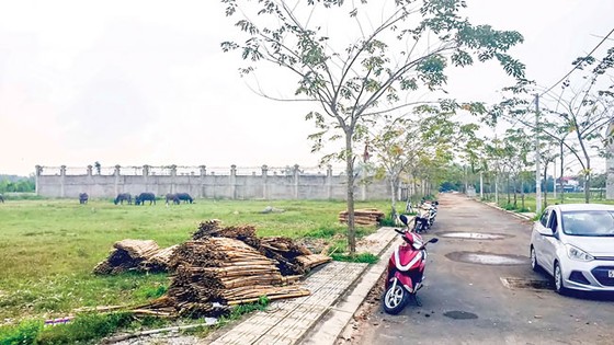 Xu hướng tăng giá đất nền ảnh 1