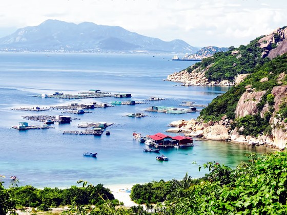 Hoang sơ đảo ngọc Bình Ba ảnh 5