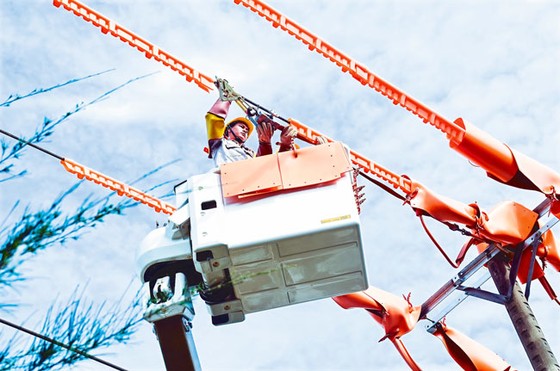 EVNSPC: Những cột mốc nổi bật ảnh 2