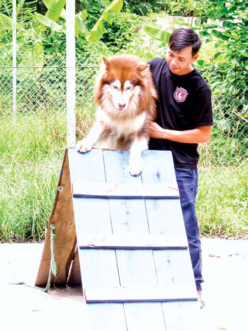 Trại huấn luyện D.O.C ảnh 2