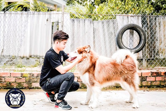 Trại huấn luyện D.O.C ảnh 3