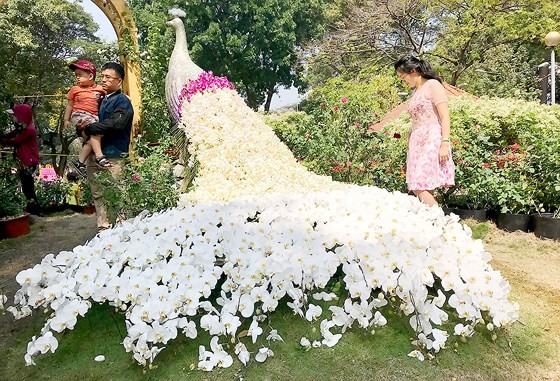 Rộn ràng sắc xuân ảnh 2