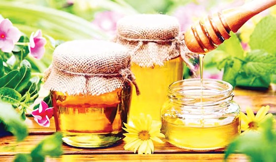 Mật ong, quà tặng của thiên nhiên ảnh 2