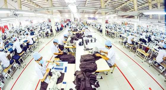 Cổ phiếu dệt may “nhờn thuốc” với CPTPP? ảnh 1