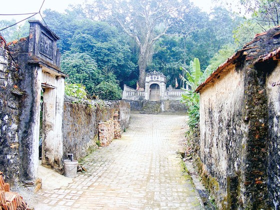 Hoang tàn làng cổ Đông Sơn ảnh 1