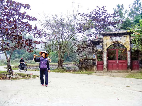 Hoang tàn làng cổ Đông Sơn ảnh 4