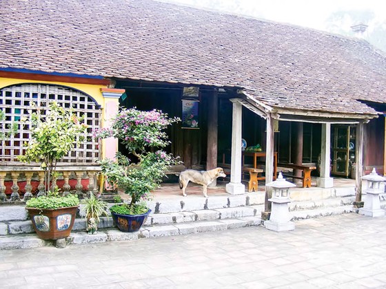 Hoang tàn làng cổ Đông Sơn ảnh 6