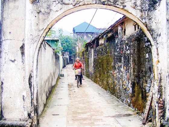 Hoang tàn làng cổ Đông Sơn ảnh 3