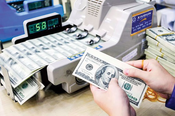USD lội ngược, đảo chiều dự báo ảnh 1
