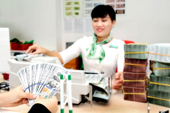 Cần tính đến việc nâng lãi suất USD ảnh 1